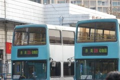 香港巴士資源中心 - 夕陽移民（巨鷹珍寶）