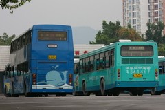 香港巴士資源中心 - 夕陽移民（巨鷹珍寶）