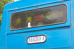 香港巴士資源中心 - 夕陽移民（巨鷹珍寶）