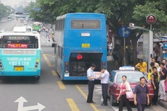 香港巴士資源中心 - 夕陽移民（巨鷹珍寶）